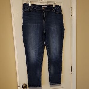 Lane Bryant Indigo Wash Skinny Jeans